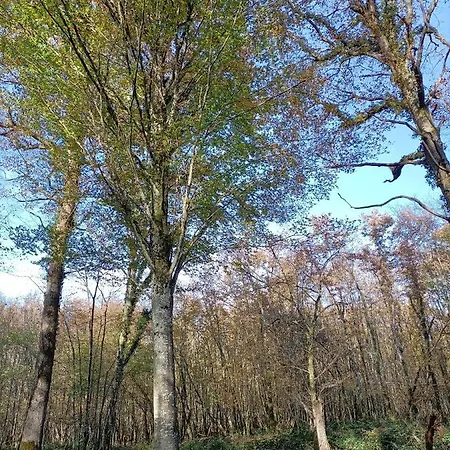 La Chaumiere De Mauvrain *