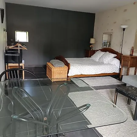 La Chaumiere De Mauvrain Apartment La Celle-Sur-Nievre