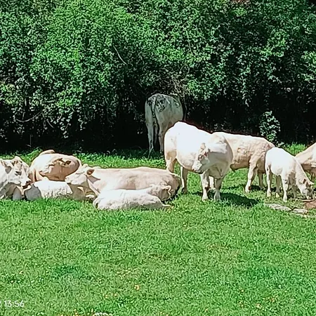 La Chaumiere De Mauvrain La Celle-Sur-Nievre